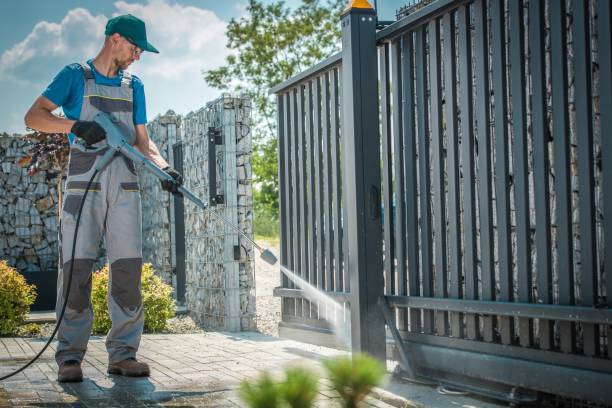 Best Roof Washing  in Panaca, NV